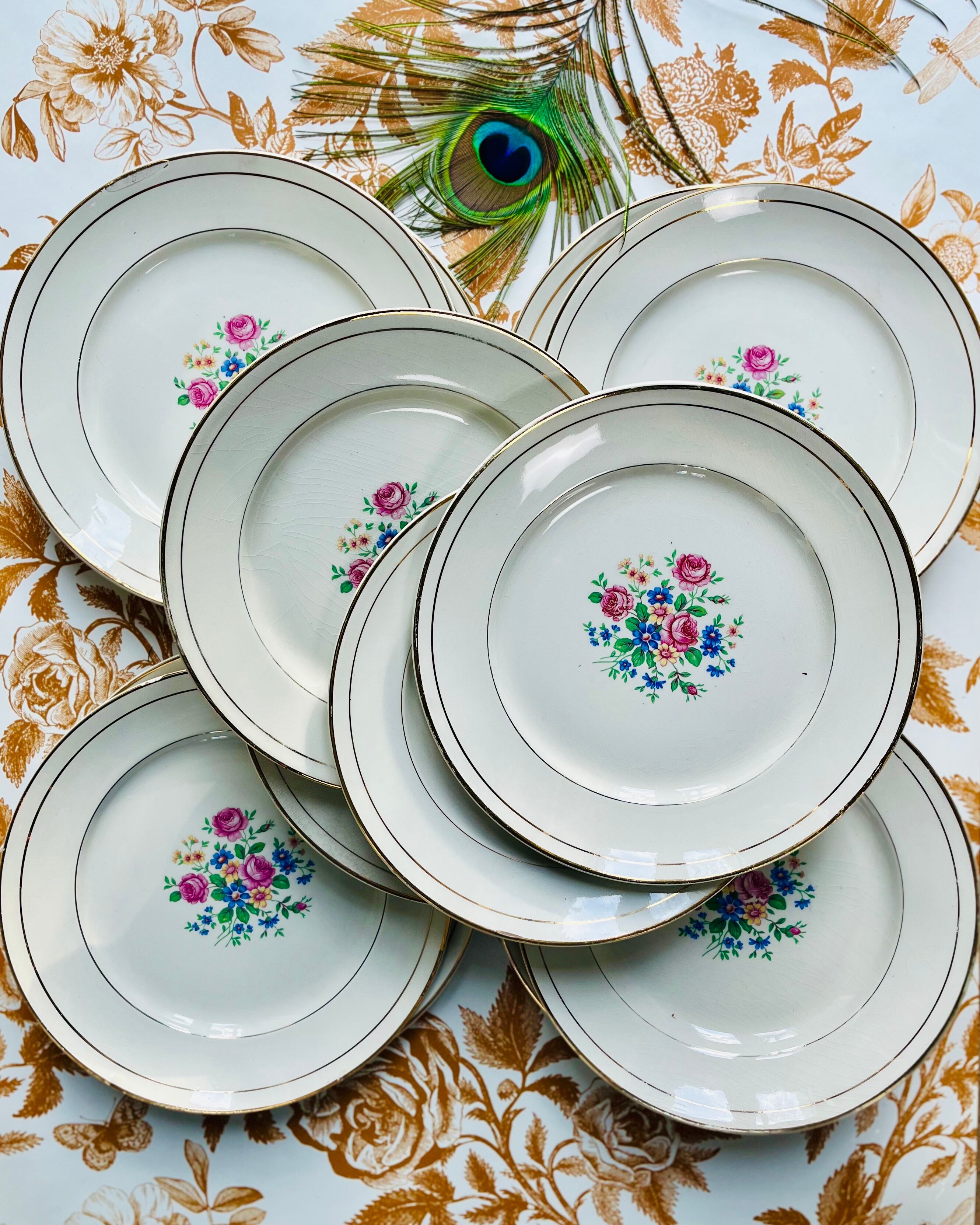 12 plates Moulin des Loups Orchies