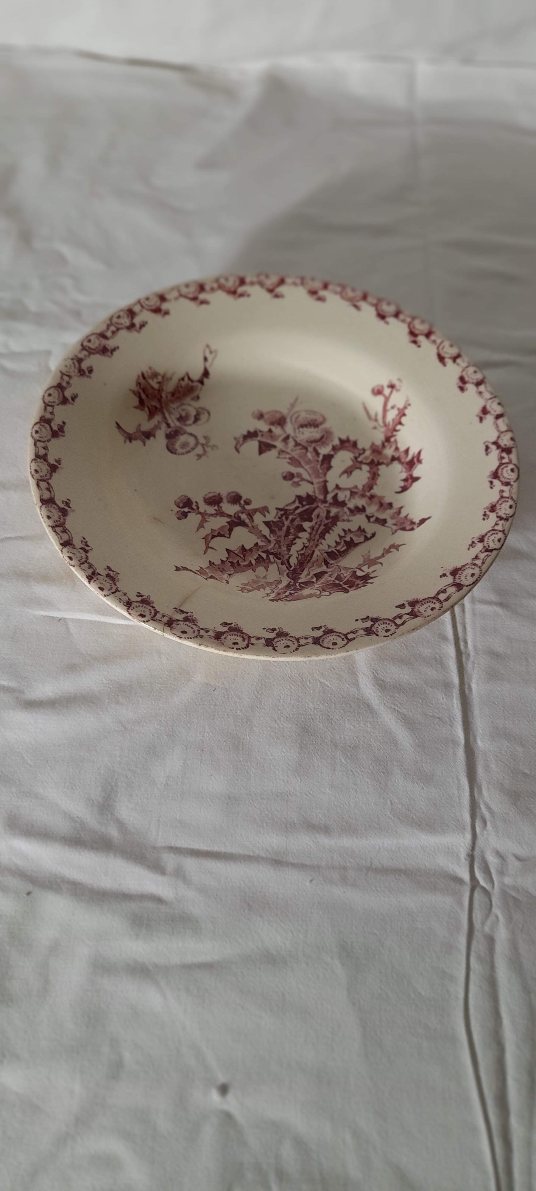 Opaque porcelain plate from Gien model thistles n ° 2 diam 24 cm