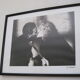 Photo encadrée reproduction Bertram Bahner Verkerke 1988