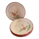 6 assiettes plates céramique