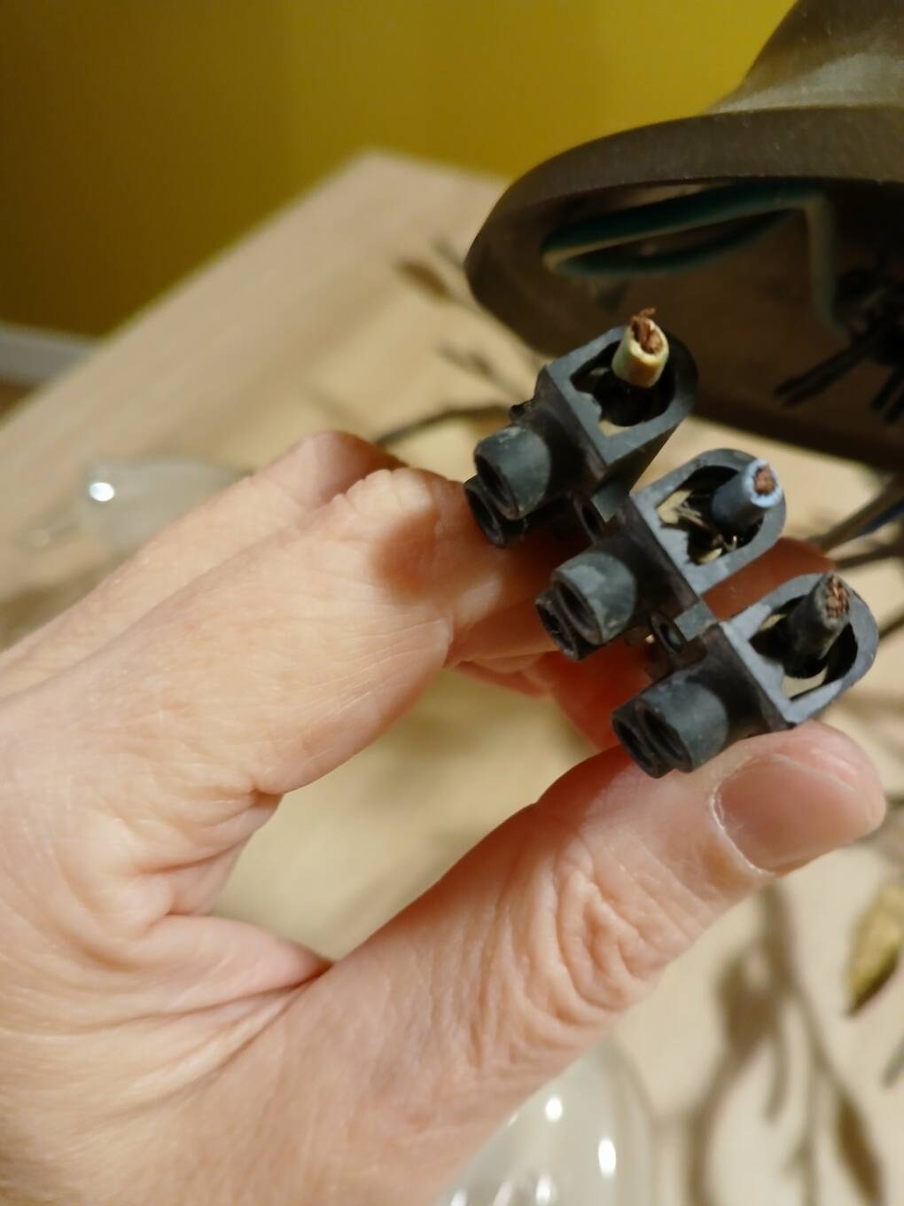 Chandelier with 6 tulips