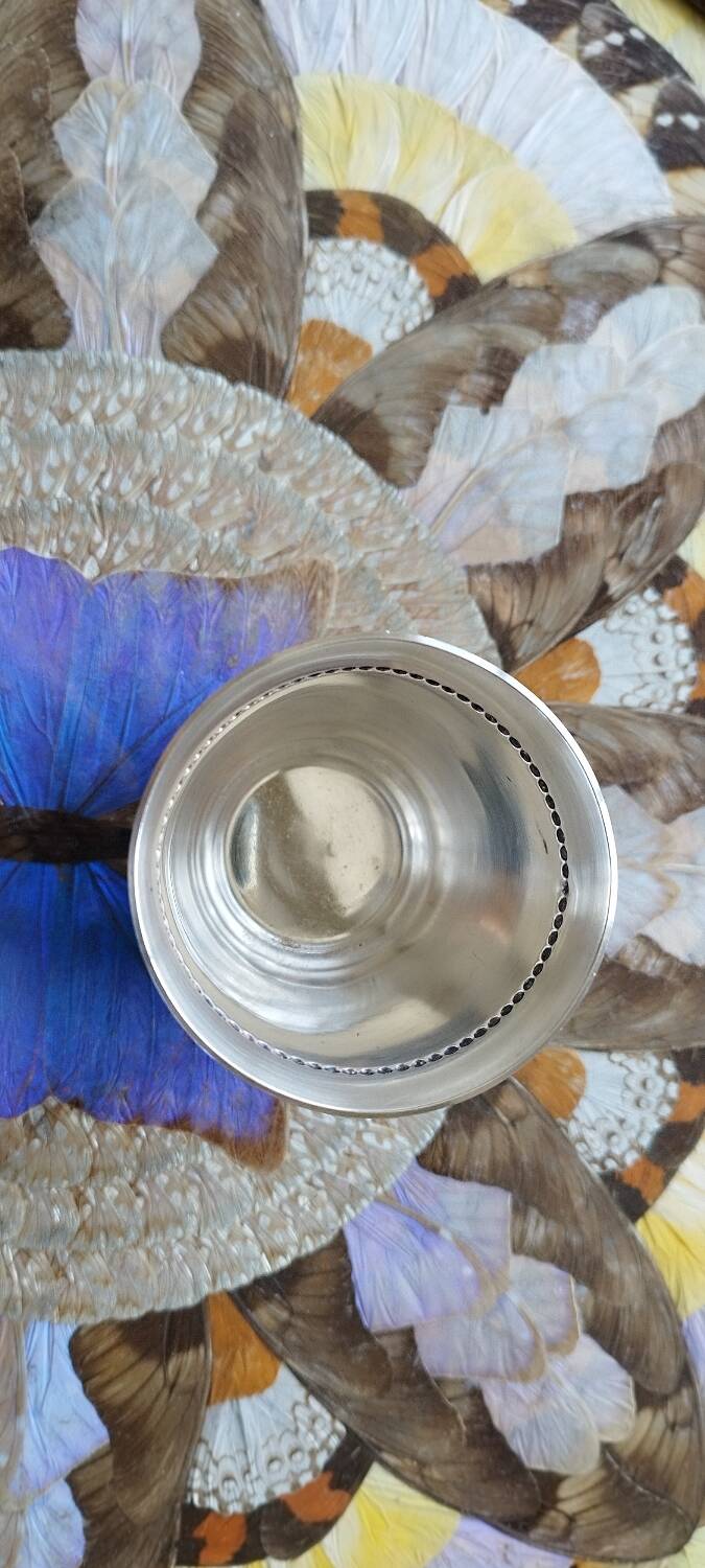 Silver-plated tumbler