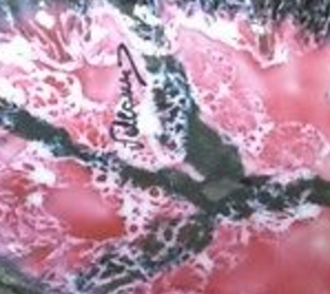 Dish terracotta Vallauris