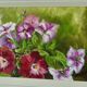 Framed oil on canvas "Flowers", Sweden mid 20th century