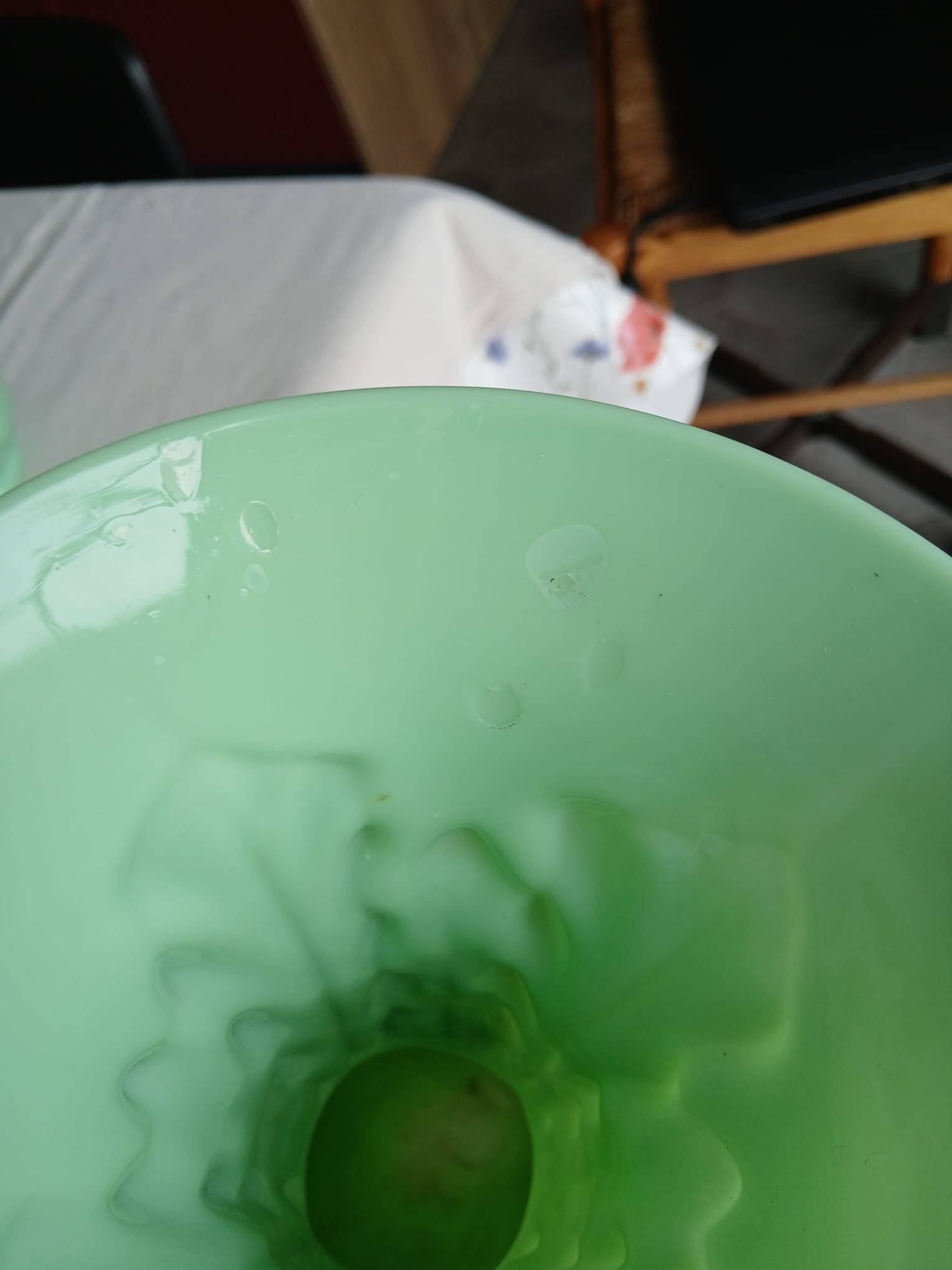 Set of 2 light green opaline glass vases SAINT LOUIS