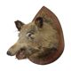 Wild boar head taxidermy wild boar bust stuffed animal 55cm