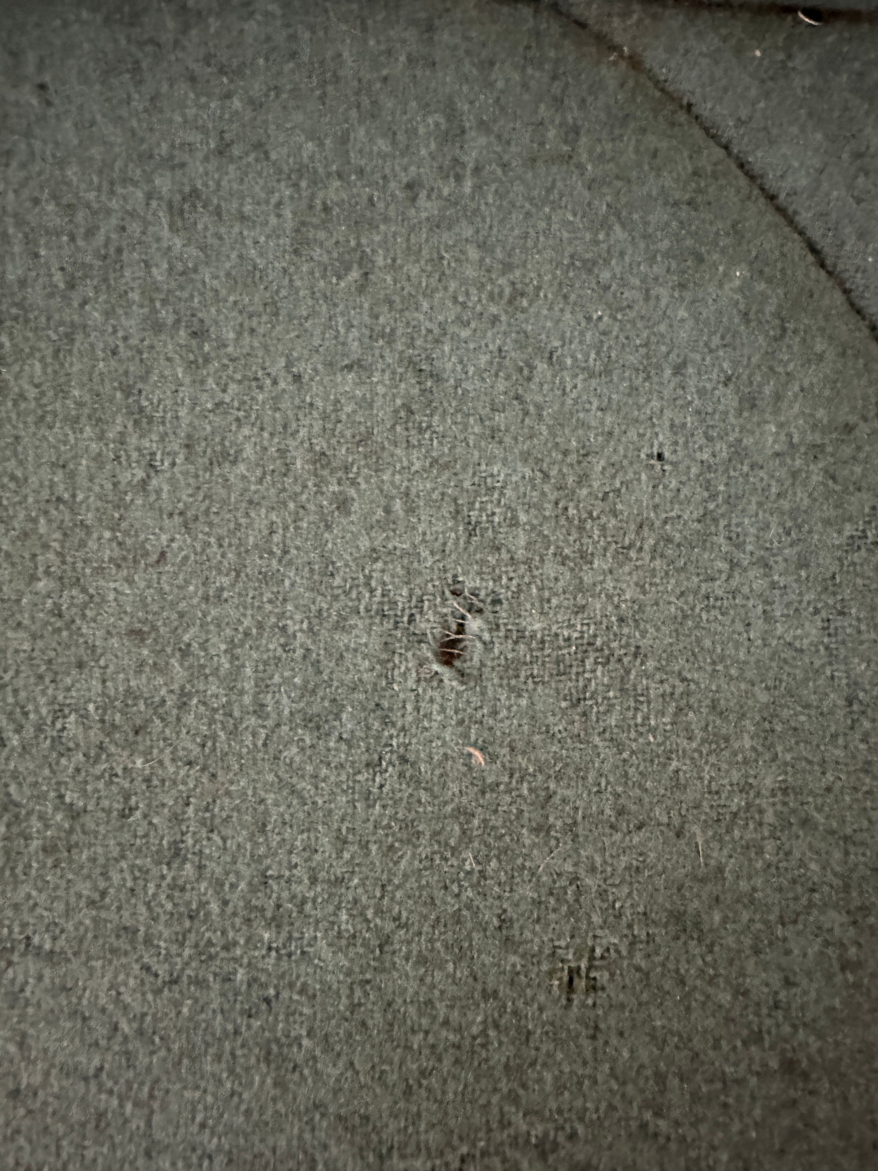 3 Seater Sofa "Pumpkin" by Paulin