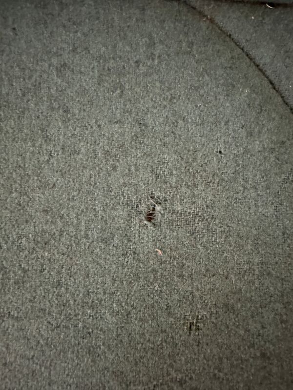 Canapé 3 Places ''Pumpkin'' de Paulin