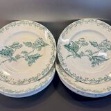 Set of 12 green ironstone flat plates