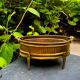 2 Art Nouveau brass planters
