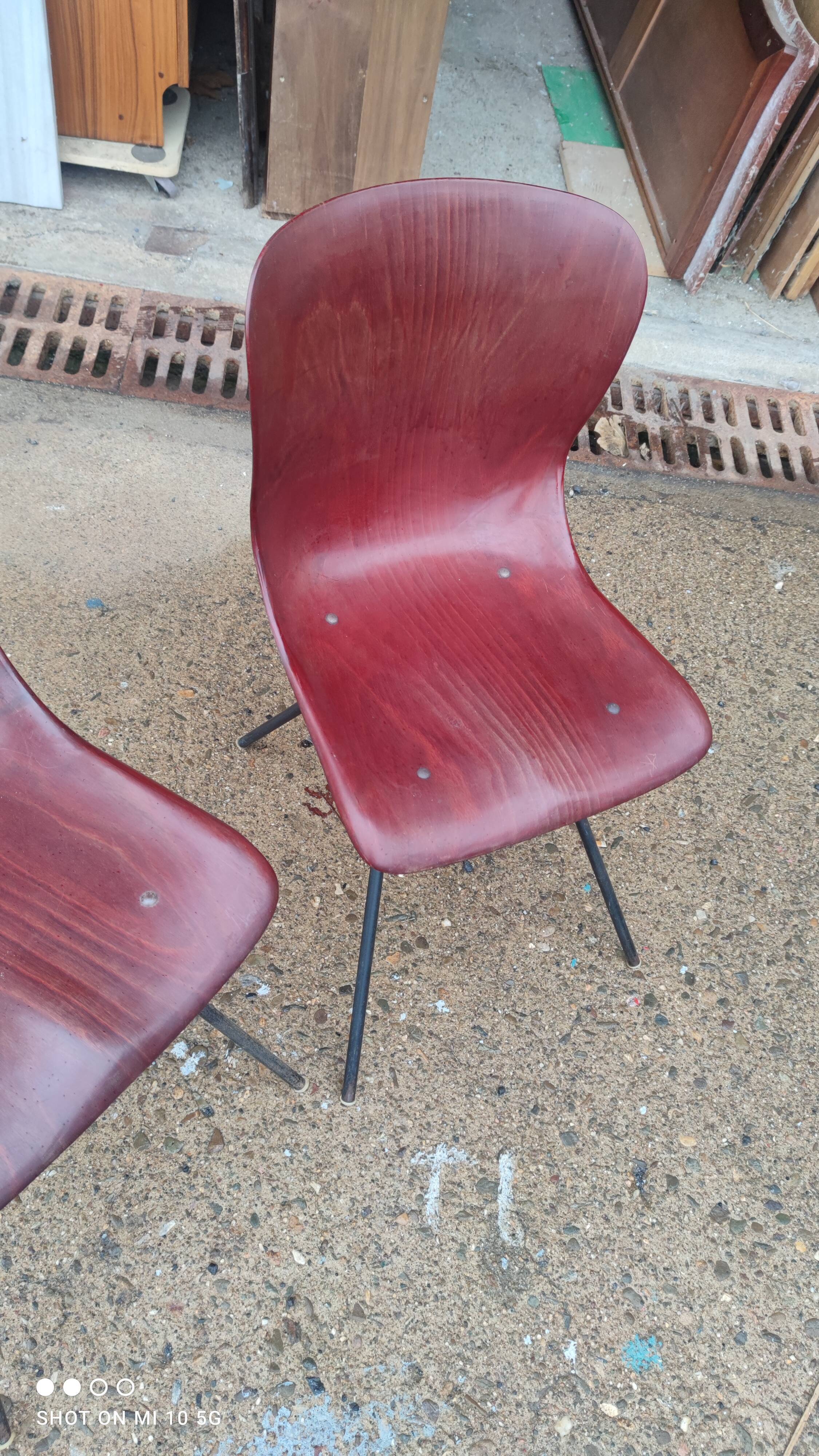 Pair of Pagholz chairs, Model 15074, by Elmar Flottoto in 1956