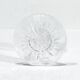 Baccarat - 12 white wine glasses catalogue 1841