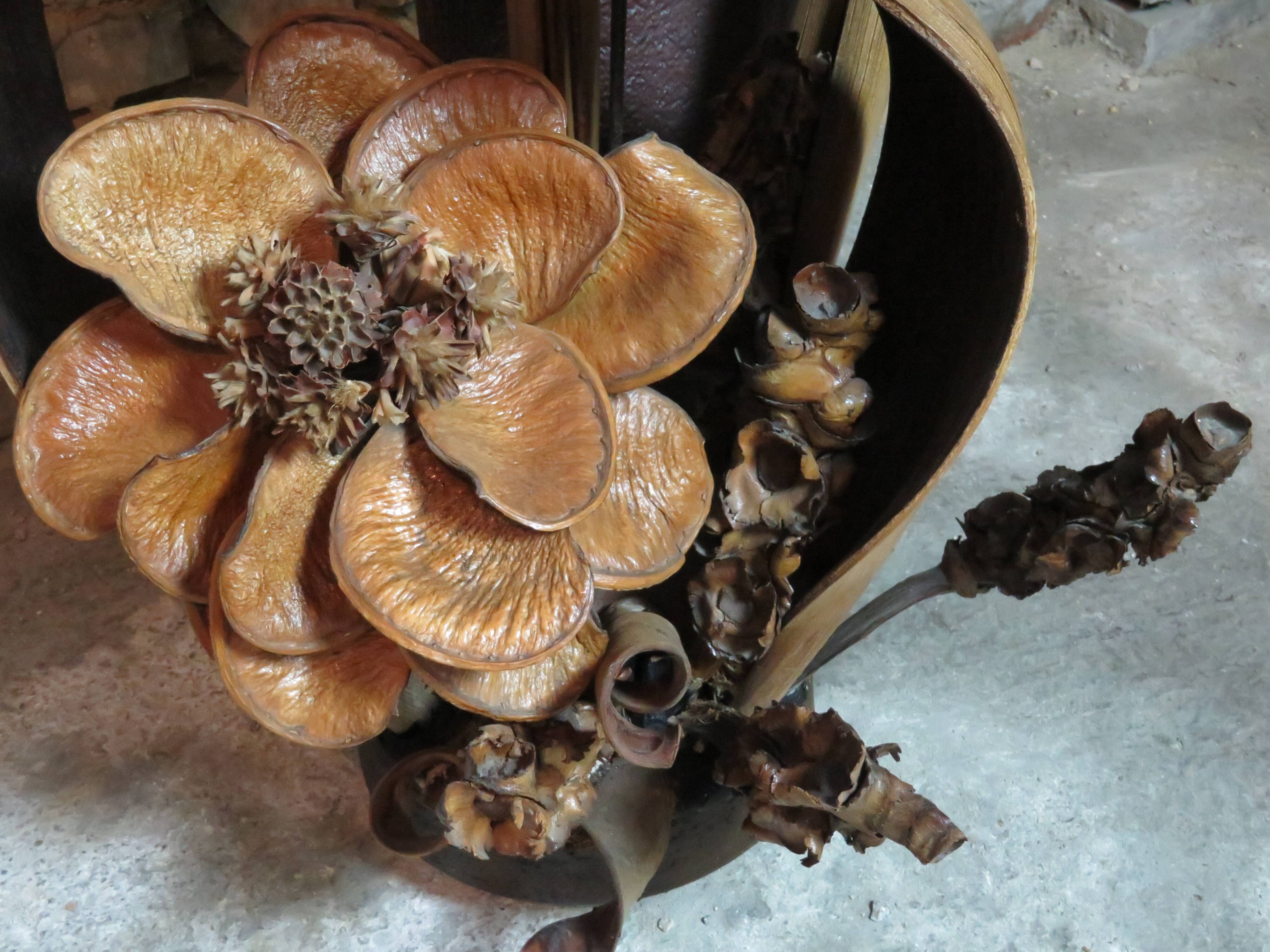 Lamp vintage leaves and flowers of dried banana 70's