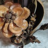 Lamp vintage leaves and flowers of dried banana 70's