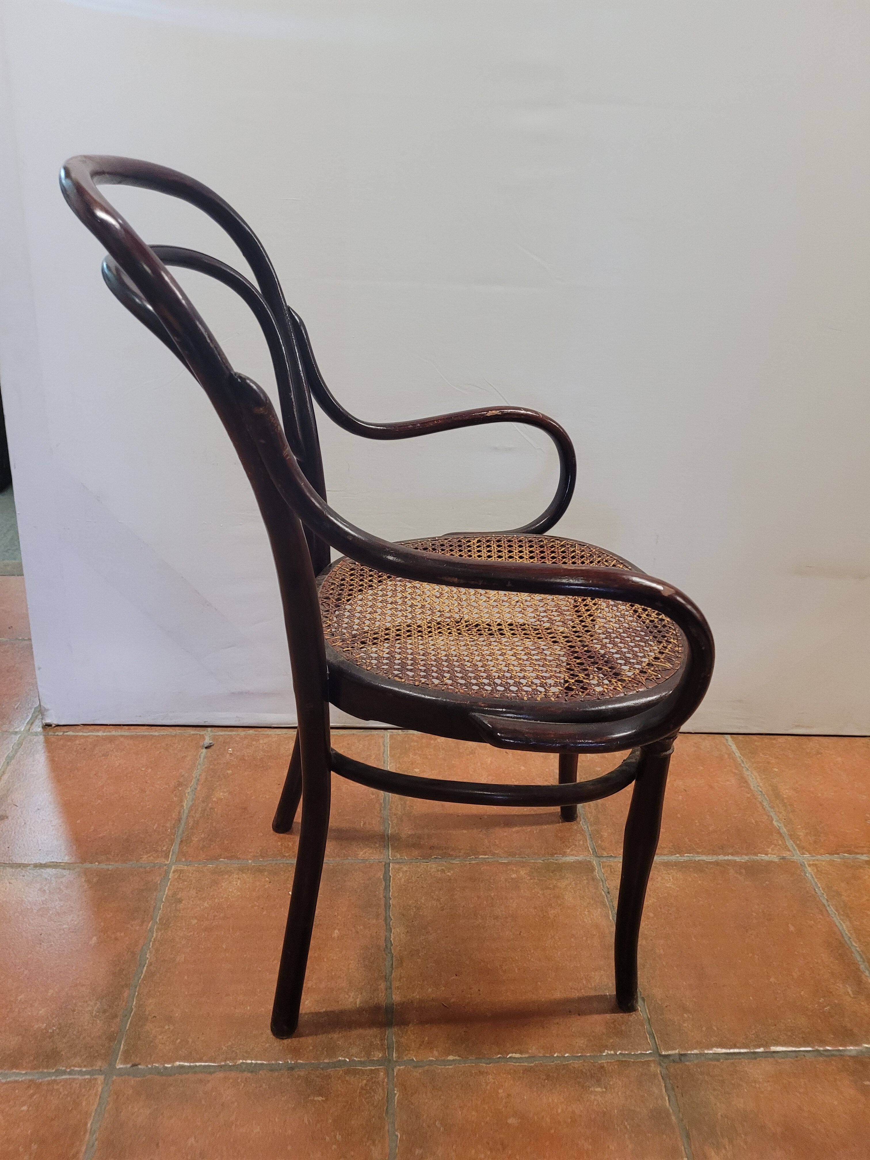 Hoffman bistro armchair in curved wood