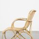 Vintage 1950s Dutch design rattan armchair with organic shapes