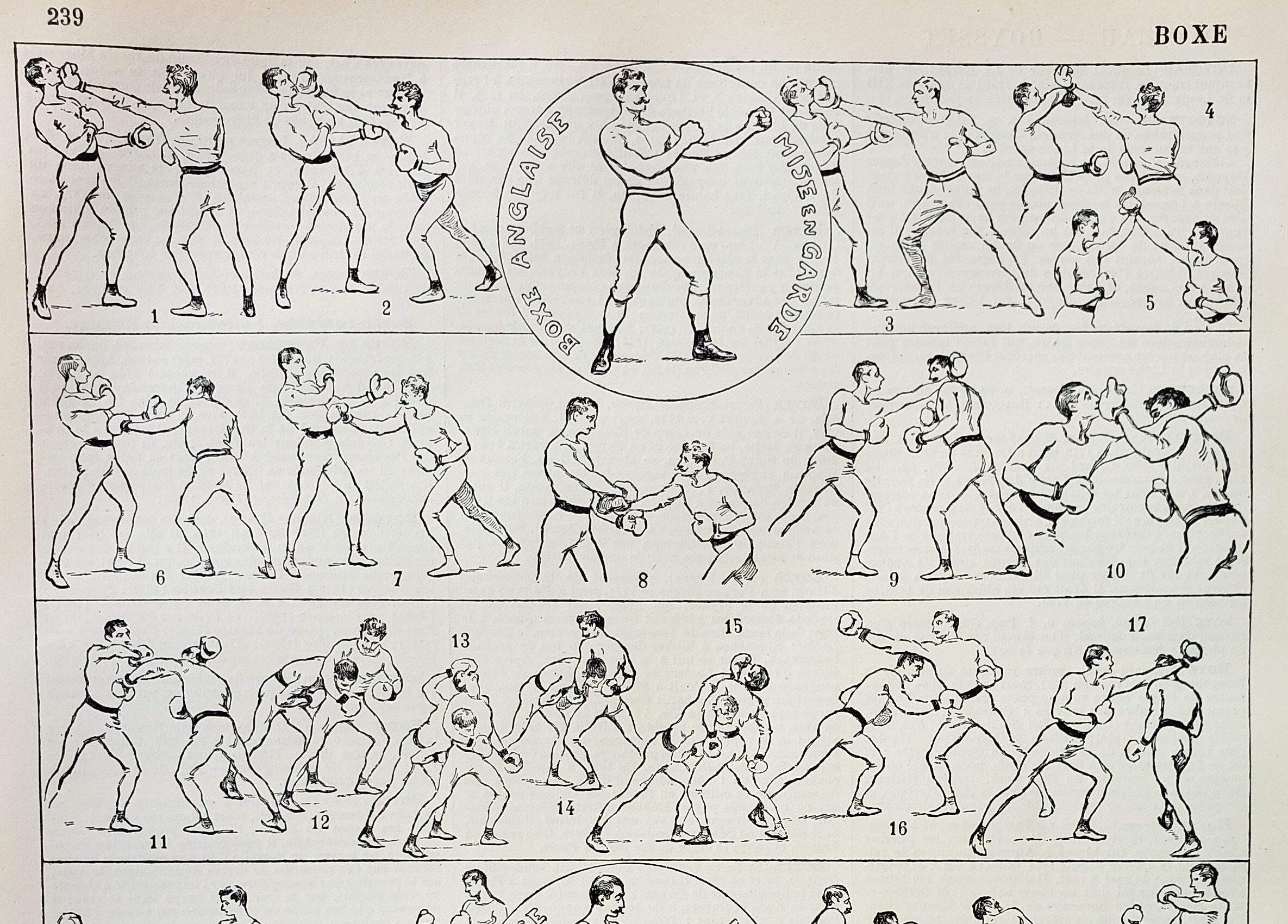 Engraving • Boxing, technique, combat sport • Original and vintage lithograph from 1898