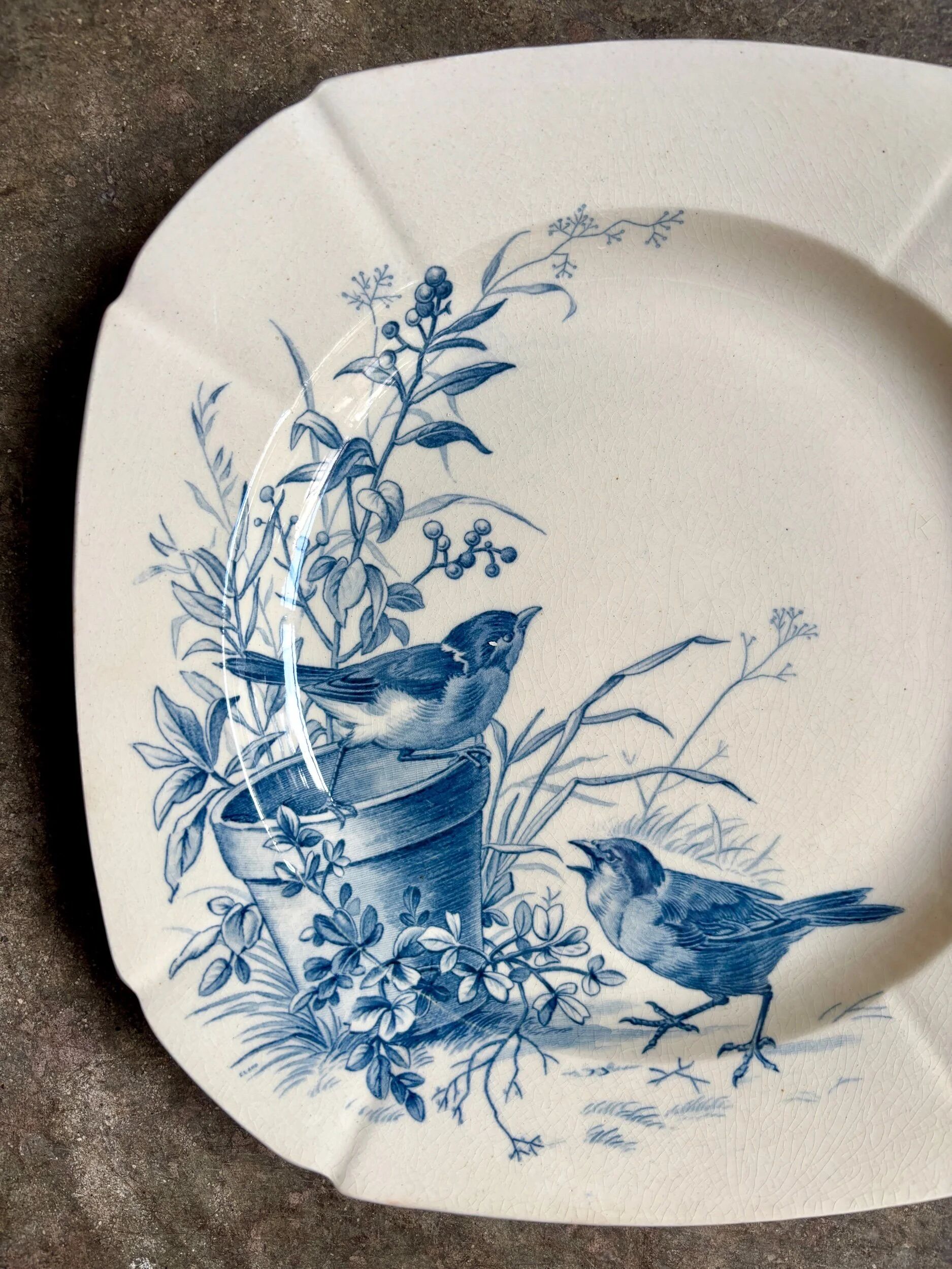 Hollow plate Gien in blue ironstone, "Birds" service circa 1870 no. 6