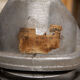 Industrial lamp suspension