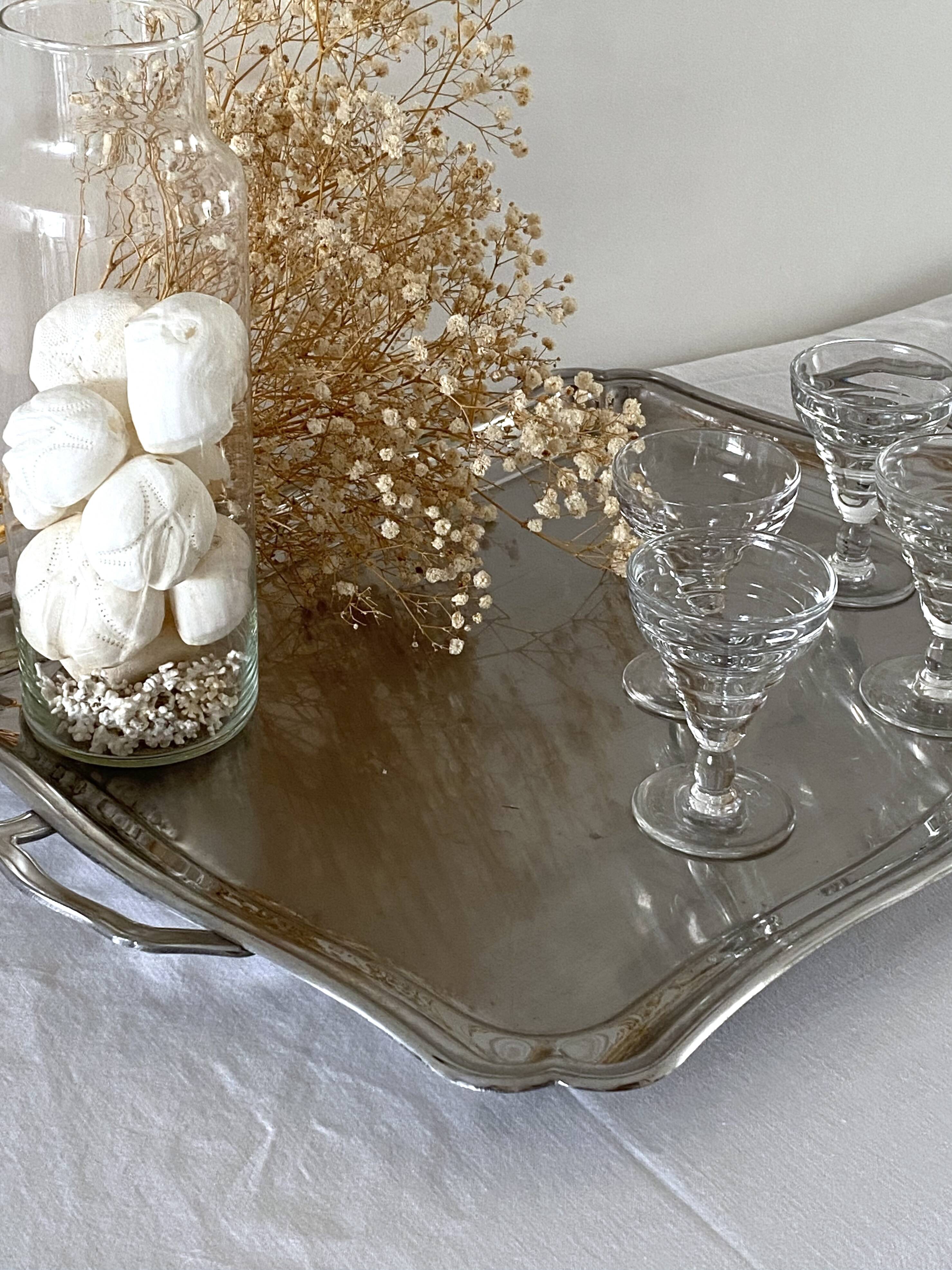 Large stainless steel platter