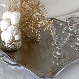 Large stainless steel platter