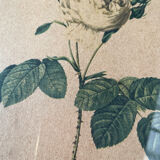 Botanical poster PJ Redoute