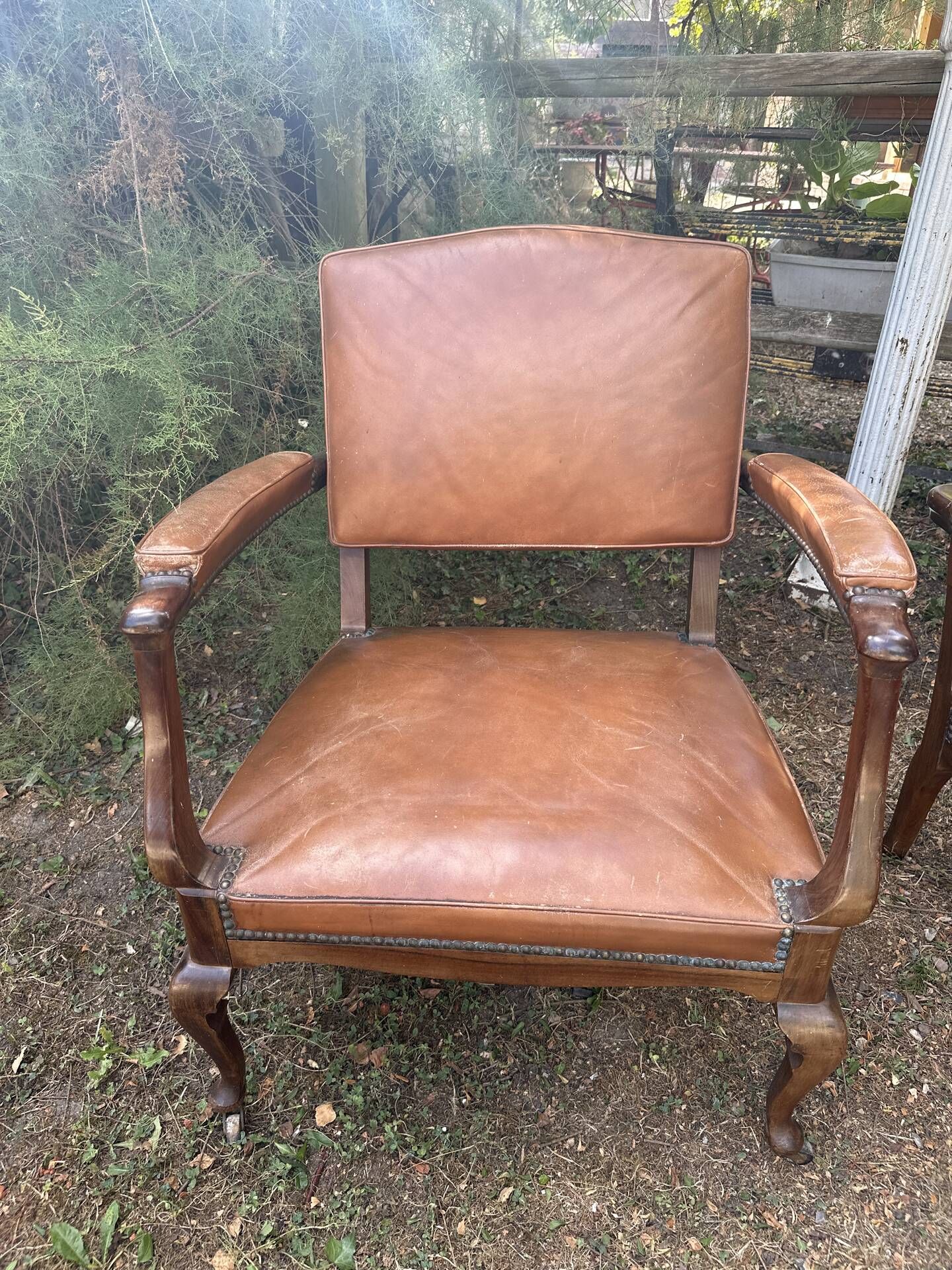 4 Chippendale leather armchairs