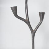 Chandelier forme organique