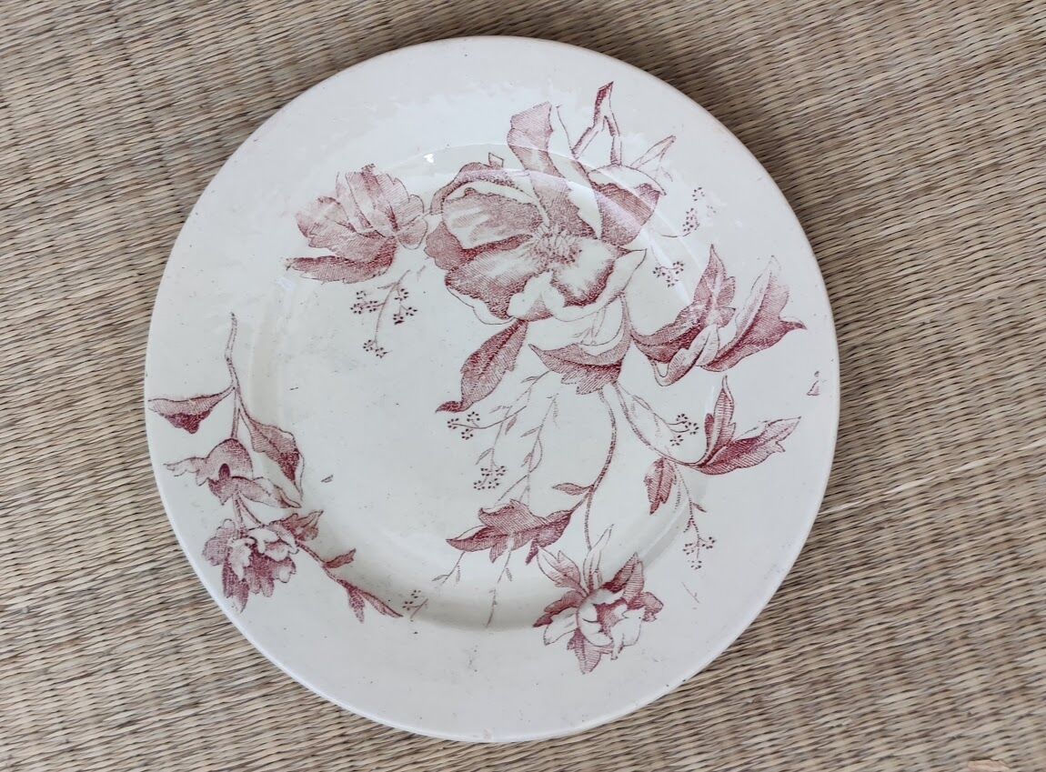 Flat plate iron earth / Christmas rose