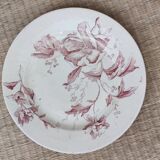 Flat plate iron earth / Christmas rose