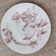 Flat plate iron earth / Christmas rose