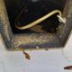 Bronze lamp and dark brown fabric shade