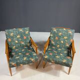 Paire de fauteuils de salon modernes du milieu du siècle, Tchécoslovaquie, années 1960