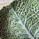Chou porcelain serving platter