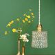Vintage transparent glass suspension globe