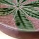 Dessert plates