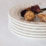 6 flat plates Quadrifoglio