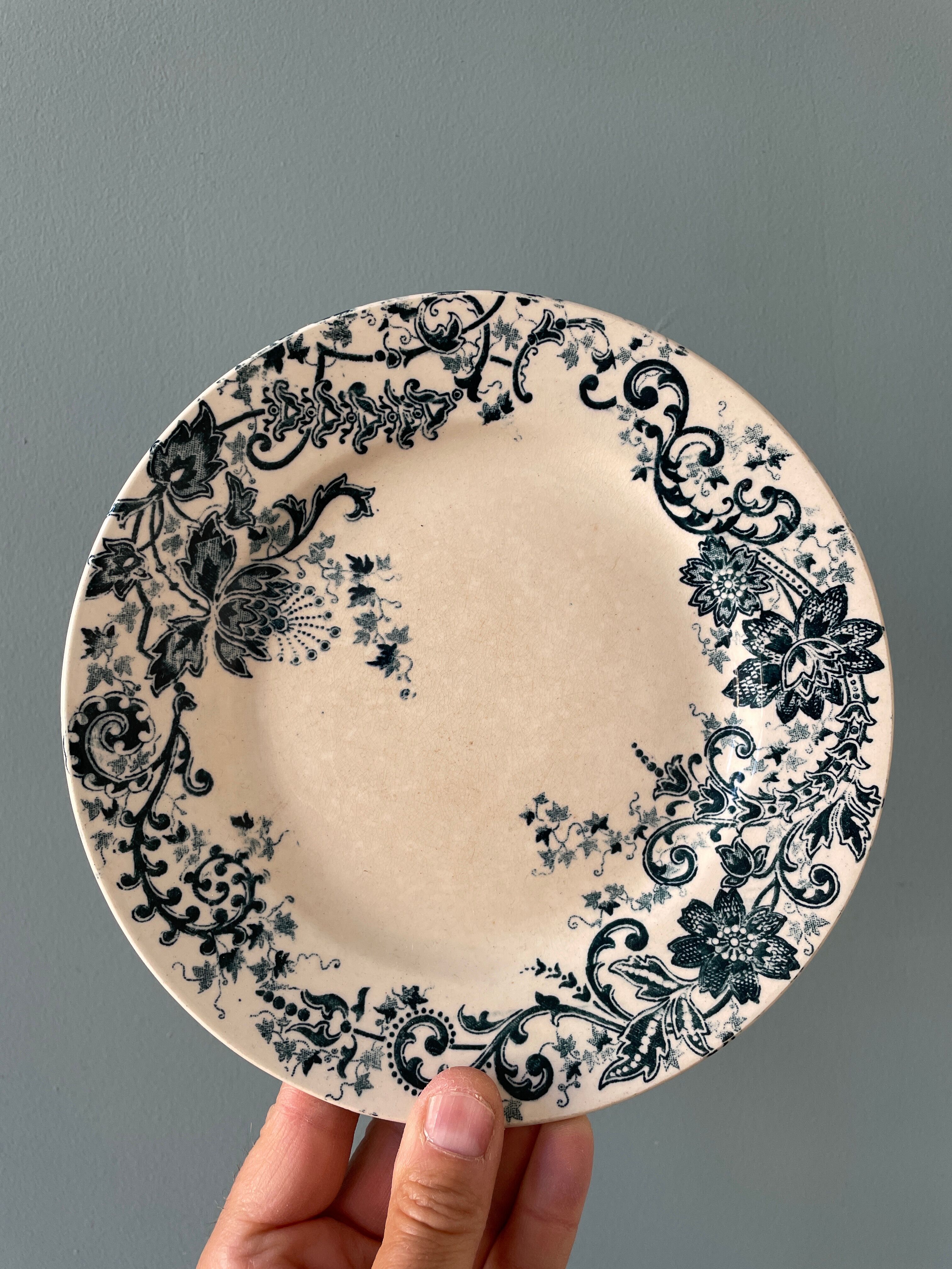 Set of 7 plates Terre de Fer XIXth mismatched