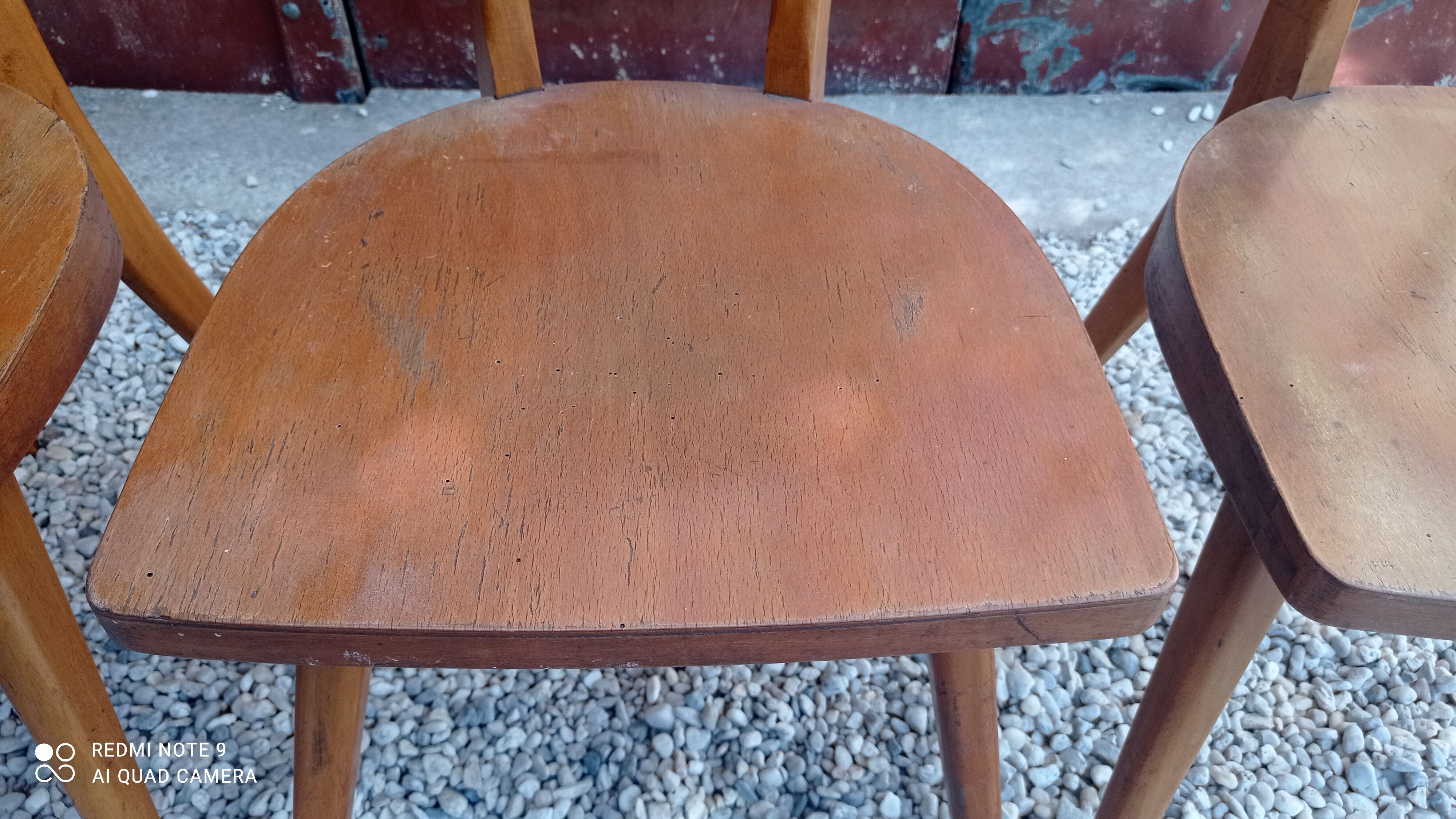 Stella antelope chairs