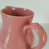 Pitcher Moulin des Loups