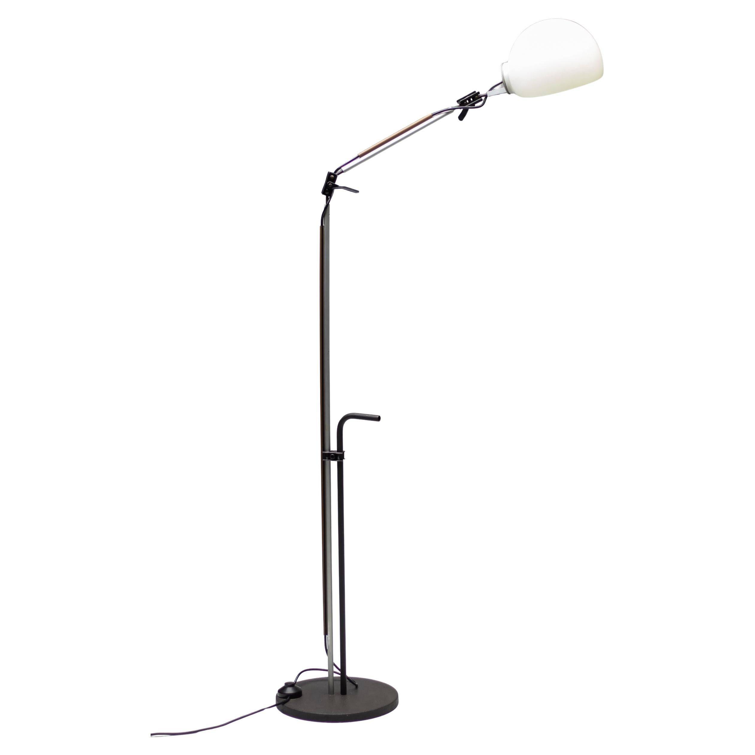 Enzo Mari G. Fassina Aggregato Floor Lamp Artemide Italian Design