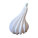 White ceramic coloquinte