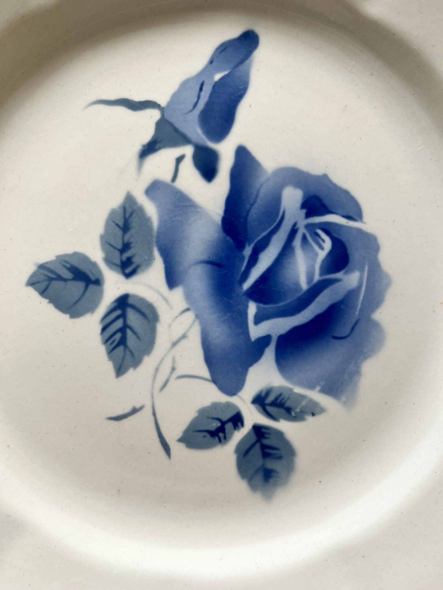 6 flat plates old Digoin & Sarreguemines decoration "blue rose"