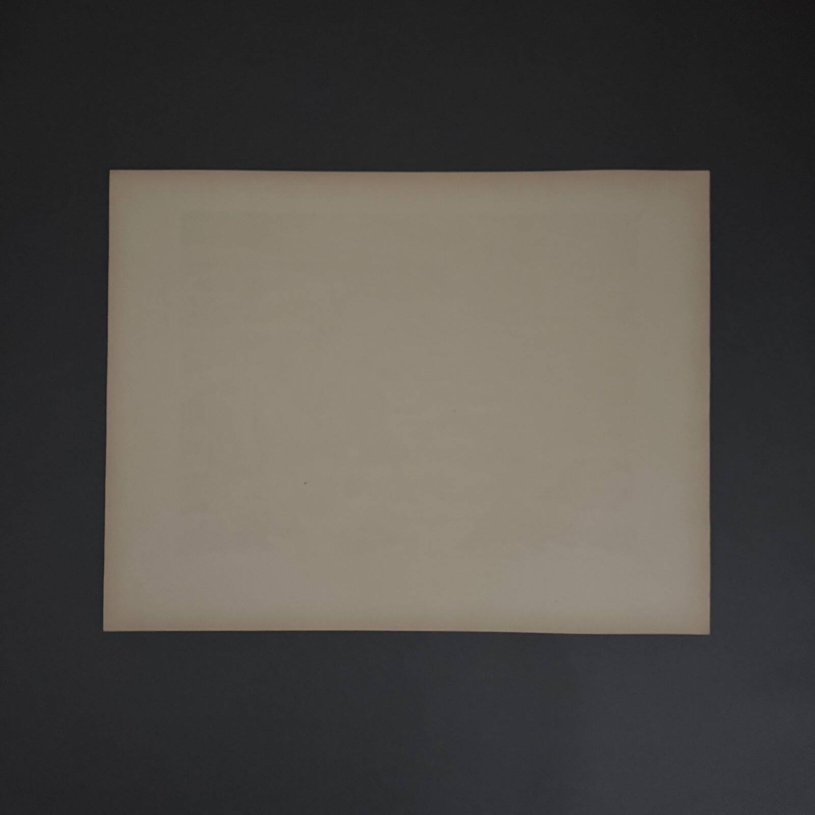Lithographie par Henri Rivière Au Vent de Noroît - Les Mousses