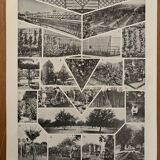 Planche illustrée vintage sur le verger - 1930