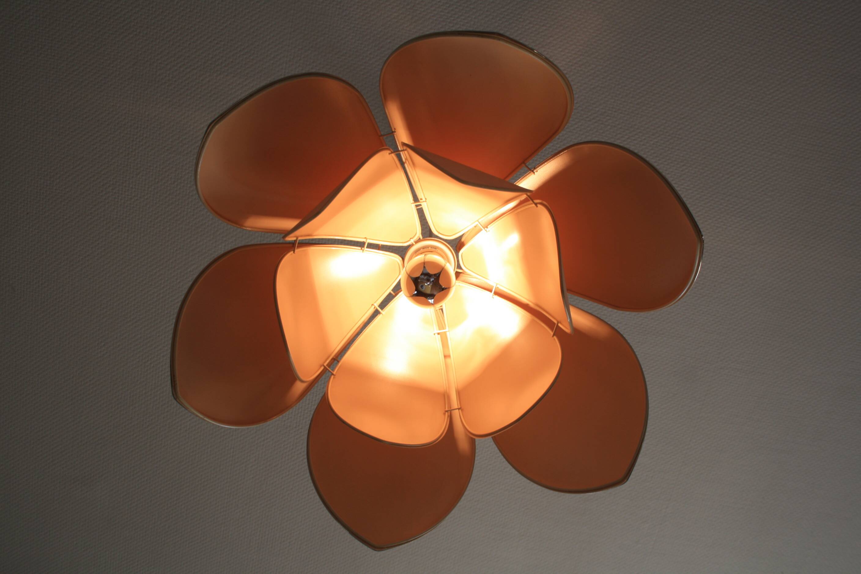 Lotus flower pendant, petals