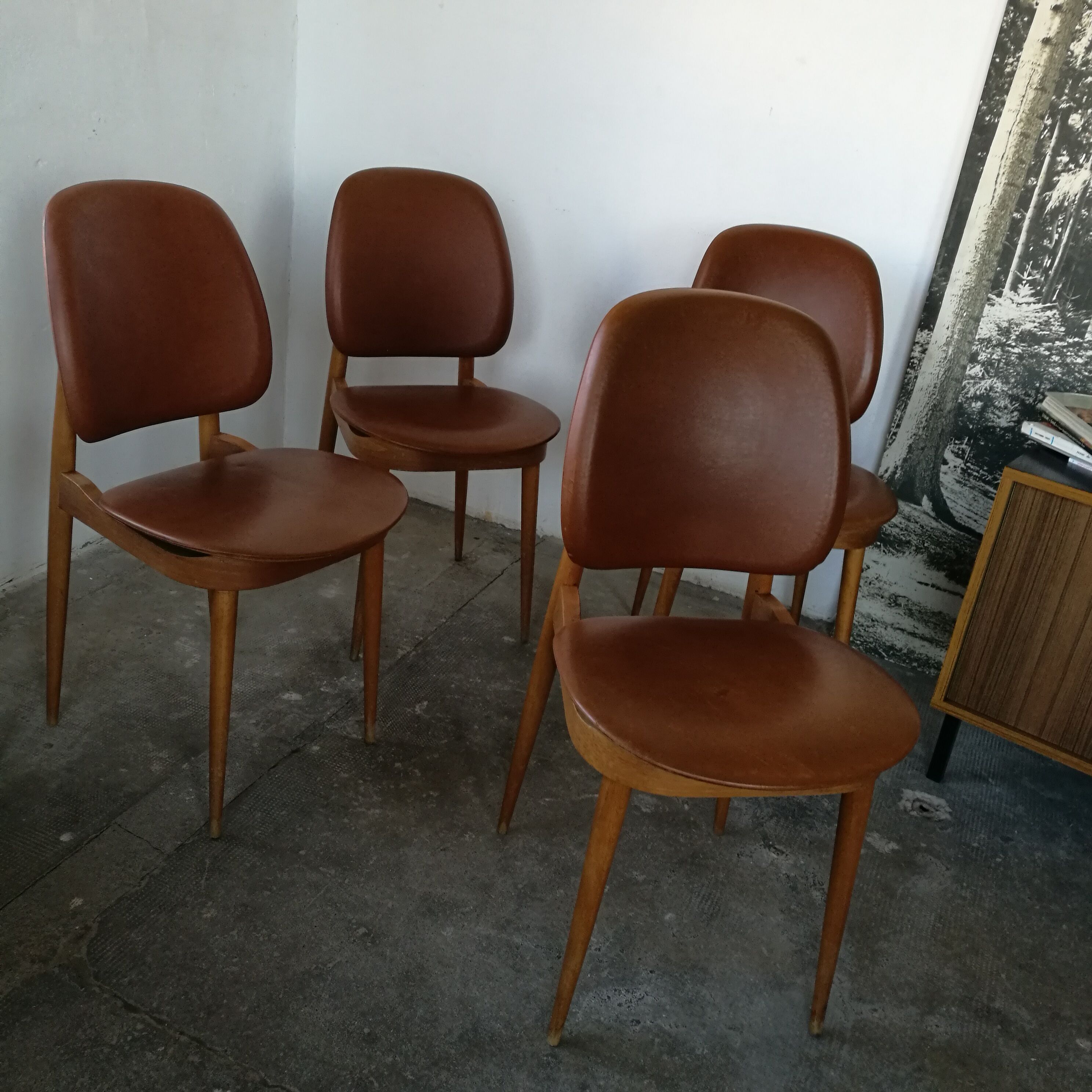 Set of 4 Baumann chairs, Pegasus model