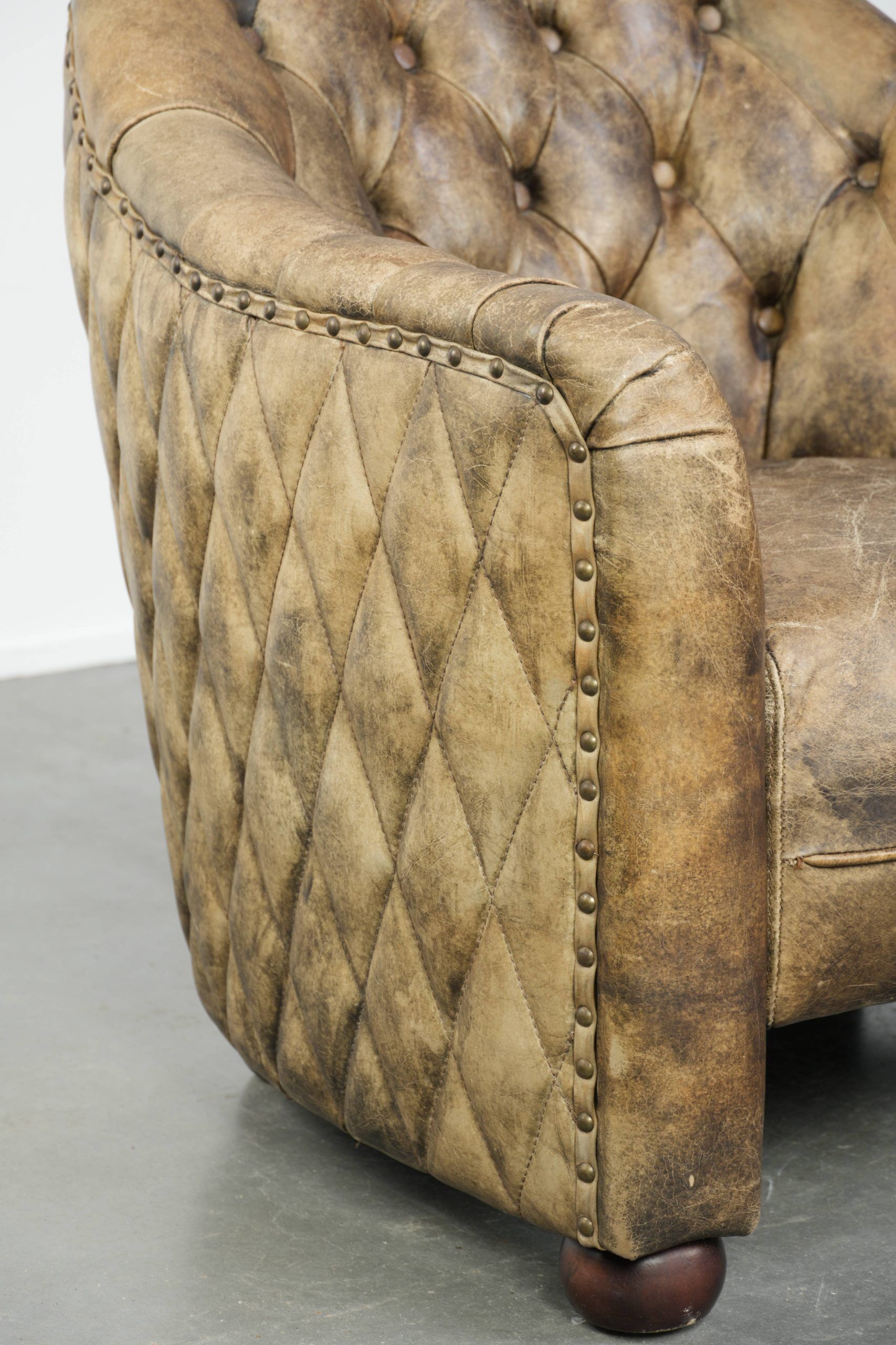 Unique cowhide Chesterfield club armchair with beautiful colour combination