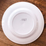 8 plates Salins model Janine