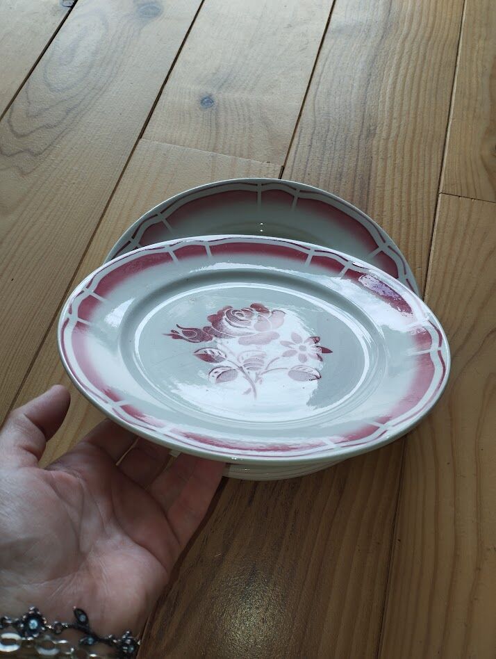 Set of 6 antique Badonviller flat plates in decorated earthenware.